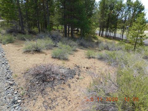 53390 Riverview Dr, La Pine, OR 97739 photo 18