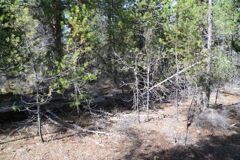 16084 Strawn Rd, La Pine, OR 97739 photo 4