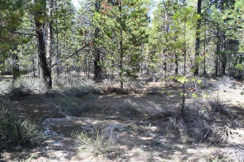 16084 Strawn Rd, La Pine, OR 97739 photo 7