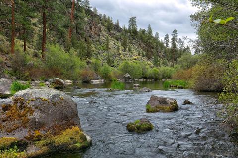 63870 Johnson Rd, Bend, OR 97703 photo 3