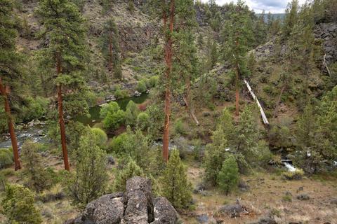 63870 Johnson Rd, Bend, OR 97703 photo 29