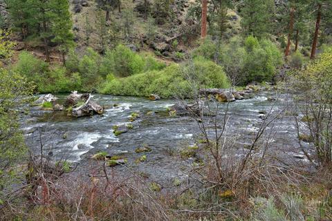 63870 Johnson Rd, Bend, OR 97703 photo 31