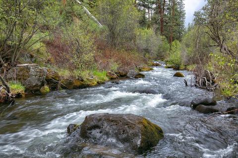 63870 Johnson Rd, Bend, OR 97703 photo 30