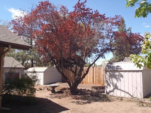 1809 NE 8th St, Bend, OR 97701 photo 19