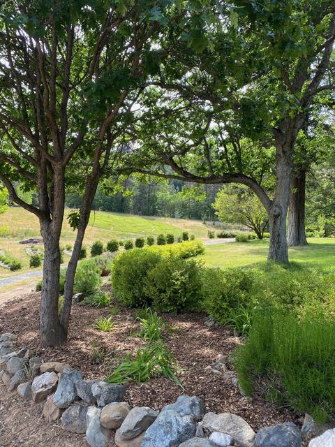 7620 Upper Applegate Rd, Jacksonville, OR 97530 photo 3