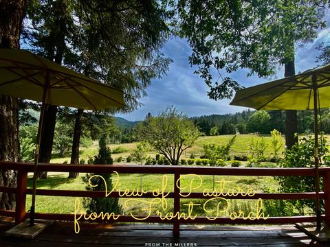 7620 Upper Applegate Rd, Jacksonville, OR 97530 photo 40