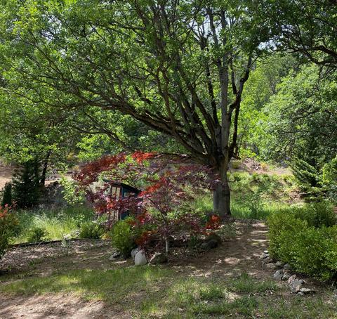 7620 Upper Applegate Rd, Jacksonville, OR 97530 photo 30