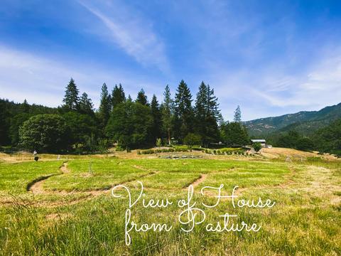 7620 Upper Applegate Rd, Jacksonville, OR 97530 photo 22