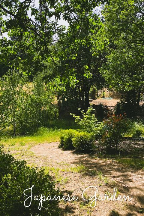 7620 Upper Applegate Rd, Jacksonville, OR 97530 photo 28