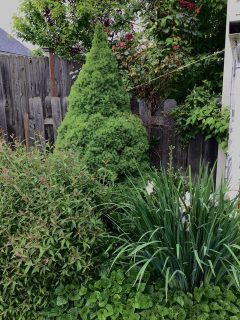 252 NE 1st St, Willamina, OR 97396 photo 3