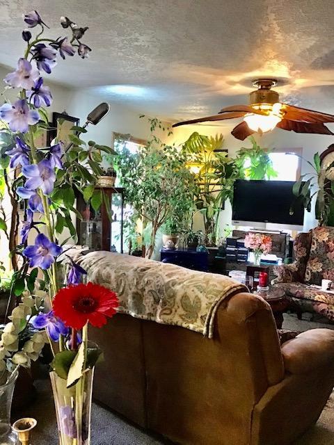 252 NE 1st St, Willamina, OR 97396 photo 5