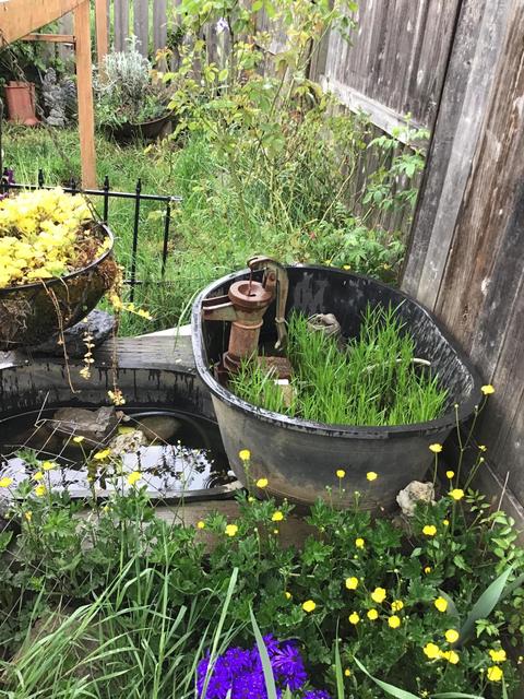 252 NE 1st St, Willamina, OR 97396 photo 9