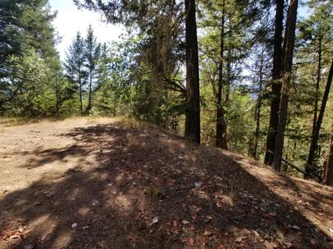 16740 Ford Rd, Rogue River, OR 97537 photo 2