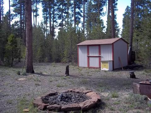 52362 Whispering Pines Rd, La Pine, OR 97739 photo 14