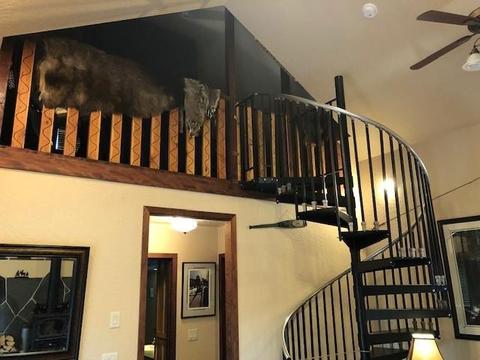 123741 Muttonchop St, Crescent Lake, OR 97733 photo 9