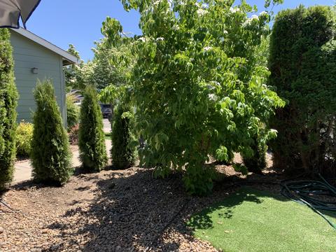 363 Live Oak Loop, Central Point, OR 97502 photo 19