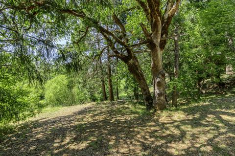 338 Burch Dr, Cave Junction, OR 97523 photo 27