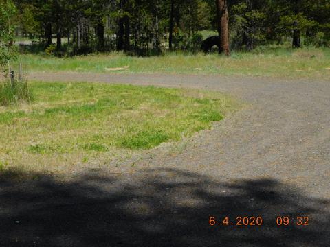 52128 Elderberry Ln, La Pine, OR 97739 photo 7