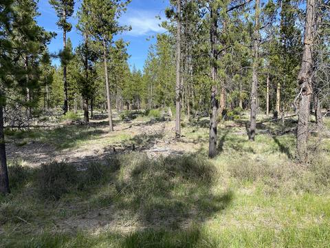 15600 River Dr, La Pine, OR 97739 photo 3