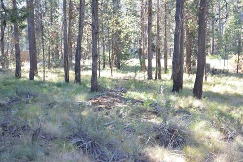 15600 River Dr, La Pine, OR 97739 photo 2