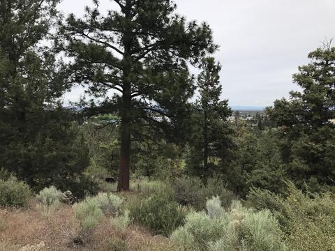3287 NW Fairway Heights Dr, Bend, OR 97703 photo 5