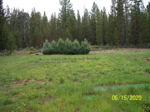 16310 Lava Dr, La Pine, OR 97739 photo 27