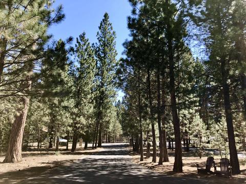 14217 Whitewater Loop, La Pine, OR 97739 photo 31