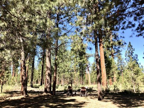 14217 Whitewater Loop, La Pine, OR 97739 photo 6