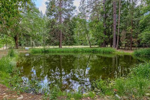 2444 Cedar Flat Rd, Williams, OR 97544 photo 25