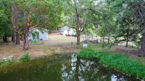 2444 Cedar Flat Rd, Williams, OR 97544 photo 24