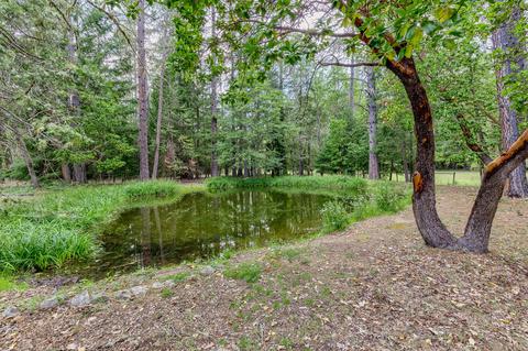 2444 Cedar Flat Rd, Williams, OR 97544 photo 26