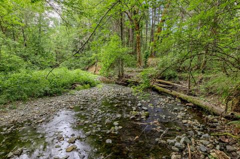 2444 Cedar Flat Rd, Williams, OR 97544 photo 65