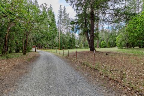 2444 Cedar Flat Rd, Williams, OR 97544 photo 38