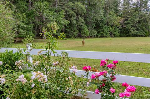 2444 Cedar Flat Rd, Williams, OR 97544 photo 5