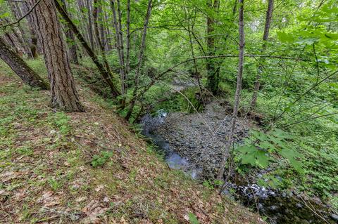 2444 Cedar Flat Rd, Williams, OR 97544 photo 73