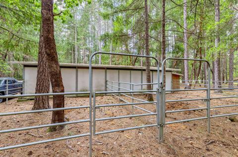 2444 Cedar Flat Rd, Williams, OR 97544 photo 53