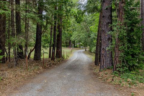 2444 Cedar Flat Rd, Williams, OR 97544 photo 41