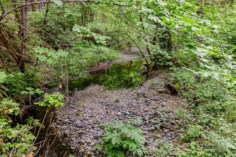 2444 Cedar Flat Rd, Williams, OR 97544 photo 72