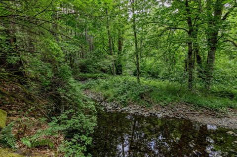 2444 Cedar Flat Rd, Williams, OR 97544 photo 66