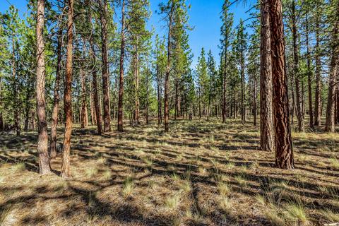 63420 Saddleback Pl, Bend, OR 97703 photo 28
