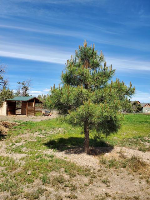 24950 Deer Ln, Bend, OR 97701 photo 15
