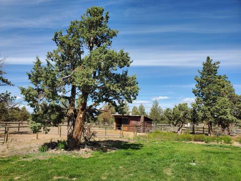 24950 Deer Ln, Bend, OR 97701 photo 14