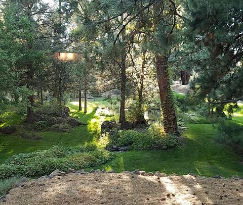 20015 Chaney Rd, Bend, OR 97703 photo 105