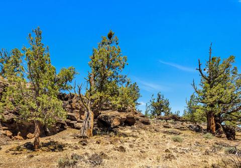 19310 Dayton Rd, Bend, OR 97703 photo 34