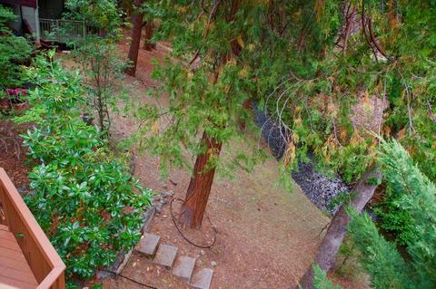257 Dano Dr, Phoenix, OR 97535 photo 11