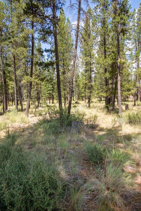 56214 Sable Rock Loop, Bend, OR 97707 photo 7