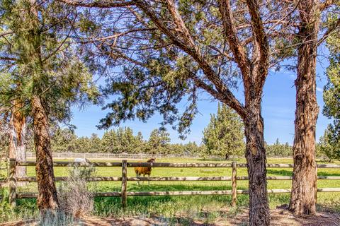 21585 Dale Rd, Bend, OR 97701 photo 26