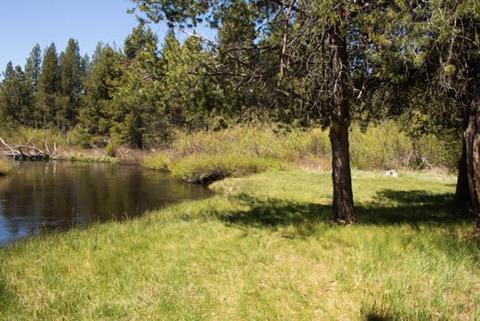 153544 Little River Loop, La Pine, OR 97739 photo 41