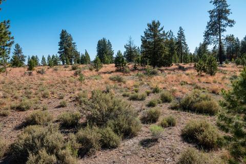 19190 Macalpine Loop, Bend, OR 97702 photo 24