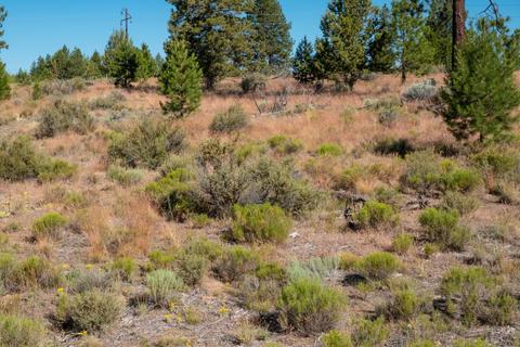 19190 Macalpine Loop, Bend, OR 97702 photo 29